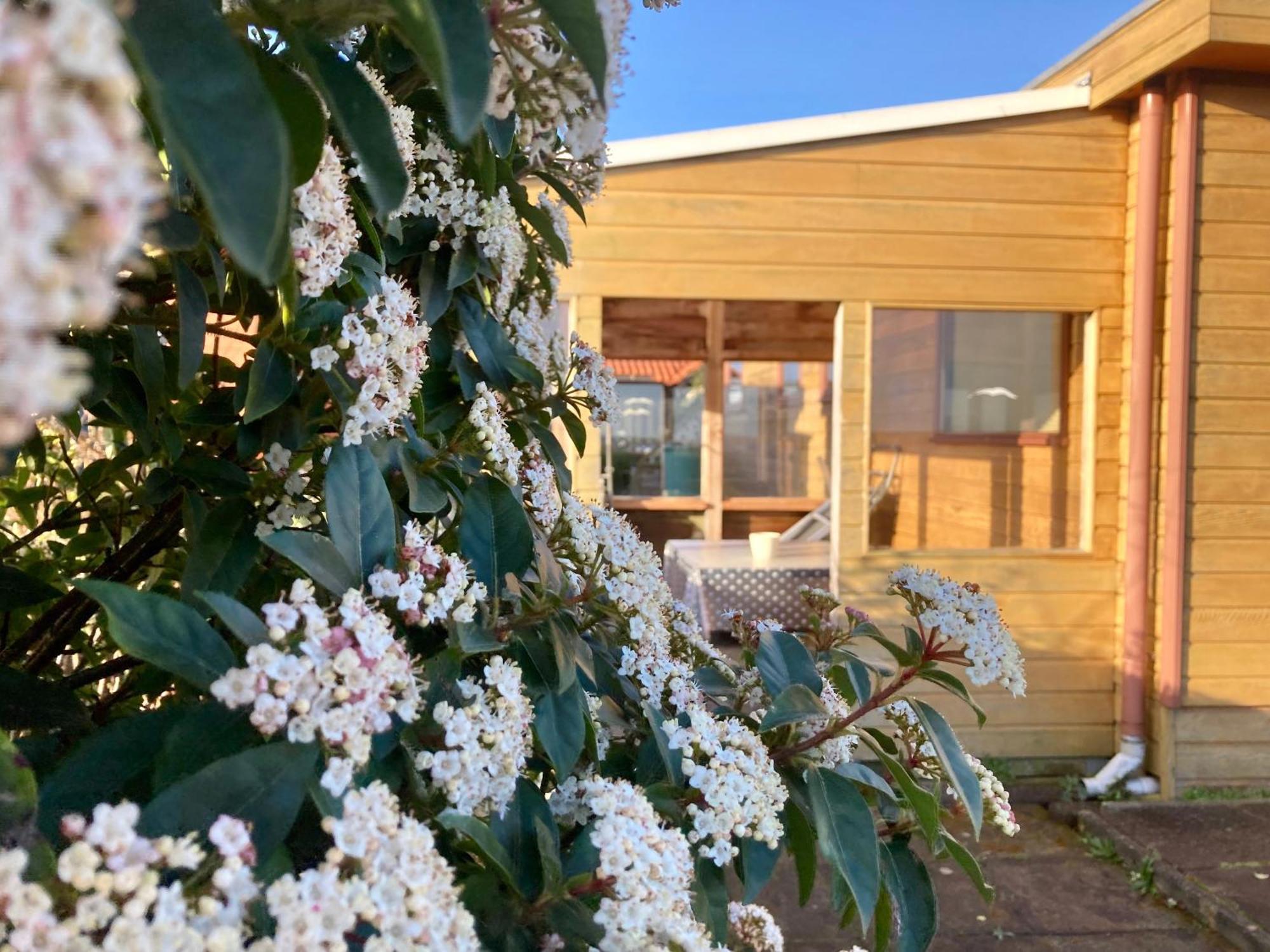 3 Pers. Holiday Home Sonnenschein With Fenced Garden And Infrared Sauna Anjum Exterior foto
